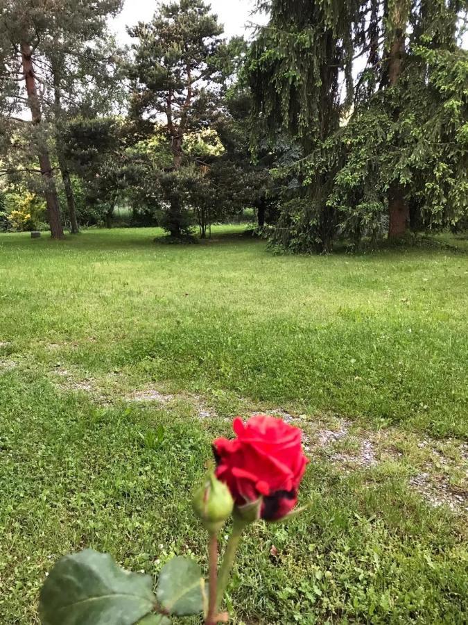 Valleverde Caraglio Dış mekan fotoğraf