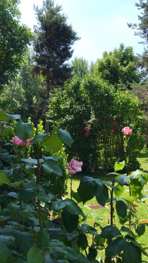 Valleverde Caraglio Dış mekan fotoğraf