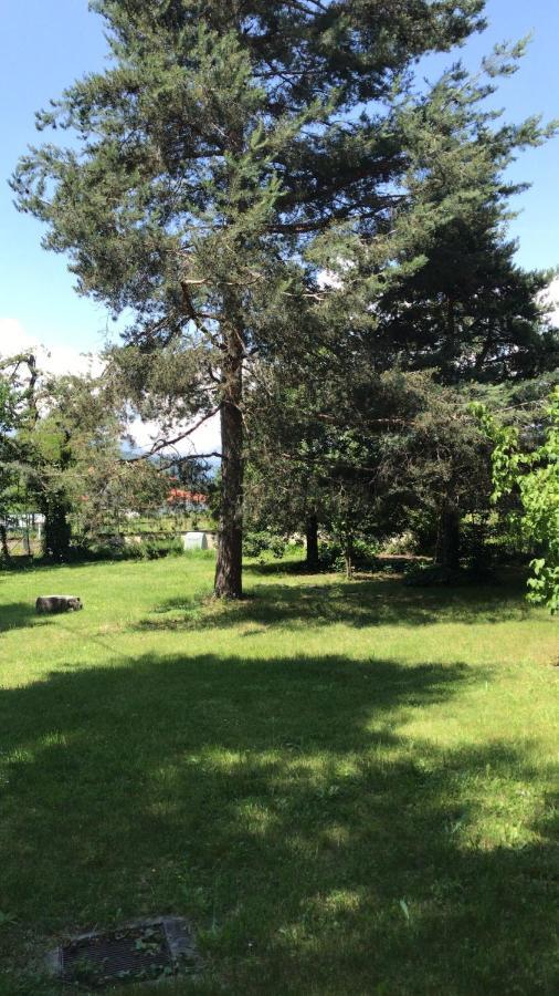 Valleverde Caraglio Dış mekan fotoğraf